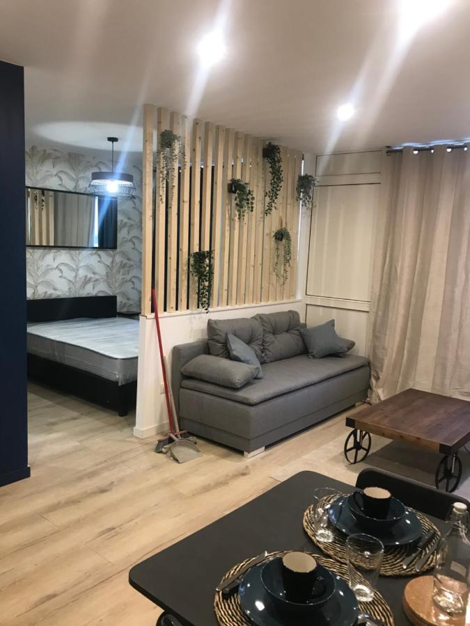 شقة Loft T2 By Locations_Lepuyenvelay Le Puy-en-Velay المظهر الخارجي الصورة